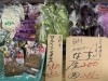 黒木商店の野菜コーナー「地元の新鮮野菜や山菜がズラリ!市場で目利きの主人が買い付けた宮崎の旬を楽しもう🥦」