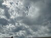 暑い🥵💦「〜アリス〜最終日💡\(^o^)/」