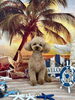 りくくん「サンセットビーチ🏖️」