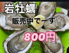 「岩牡蠣販売中でーす」