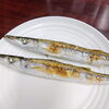 「鳥羽産・釣りカマス入荷！明日数量限定で販売します」