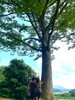 「令和8年度（2026年度）園児募集🌳開始します！！」