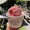 夏のソルベ