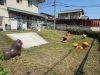 「【長岡美装社】公園掃除【活動報告】」