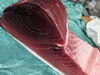 「【魚も酒も自ら厳選する瑞江の小料理屋】」