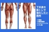 下半身のトレーニングはとても重要です。「中高年から特に必要になる下半身のトレーニング。「内転筋」「大腿四頭筋」「ハムストリングス」「ヒラメ筋」「腸腰筋」」