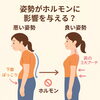 姿勢がホルモンに影響するって知ってましたか？「猫背・ぽっこりお腹・むくみの原因は姿勢かも？ホルモン×姿勢の秘密とは」