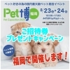 「プレゼントキャンペーンを開催します✨」