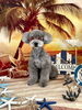 プリンちゃん「サンセットビーチ🏖️」