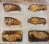 「おススメの焼き魚　ギンダラ西京漬け　毎日暑くて火使いたくないですよねそこで魚焼きます」