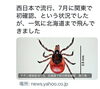 ダニ「マダニ媒介感染症SFTS、北海道で初確認—全国的な拡大にご注意を」