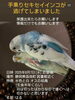「手乗りセキセイインコ「はる」ちゃんを探しています」