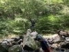 「元気いっぱい野遊びファミリー」