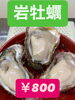 「岩牡蠣販売中です」