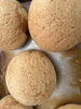 焼きたてメロンパン「本日は」