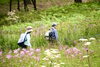 「入笠山で「五感に響く夏」を」