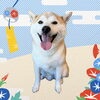 「Dog salon mofu mofu　余市町」