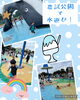 「【札幌市北区児童デイサービス】農試公園で水遊び！」