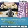 【横浜で唯一】ペットも一緒にお見送りできる葬儀社　川崎屋のサービス紹介