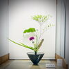 「山形屋に迎え花」