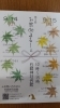 「お宮deまるしぇ」