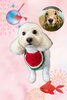 「Dog salon mofu mofu　余市町」