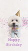 「Dog salon mofu mofu　余市町」
