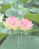 「「お盆の」偲ぶ想いにお花を添えて🌼【越前市/花屋/生花/フラワーアレンジメント/ふるーれ・T】」