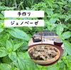 「人気メニュー🌿ジェノベーゼピザ🌿」