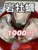 「岩牡蠣入荷致します」