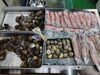 「📣本日のお魚情報🐟」