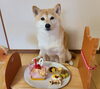 「お誕生日おめでとう♫」