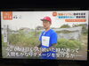 高温に対する野菜作り検討しないといけません。「☆カラフル野菜の小山農園『Nスタ』無事にオンエア☆」