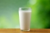 牧場で飲む牛乳って本当に美味しいですよね。「賛否両論。牛乳にまつわるお話…。」