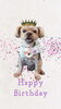 「Dog salon mofu mofu　余市町」