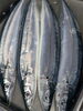 「【魚も酒も自ら厳選する瑞江の小料理屋】」