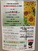 「『夏の無料法律相談会』」