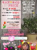 かわいいキッズにネイルを❤︎「夏🍉キッズネイルのご予約❤︎間に合います【札幌北区北24条ネイルサロン　yuki puri nail】」