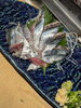 「【魚も酒も自ら厳選する瑞江の小料理屋】」