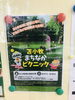 まちなかイベント🌱「[230/365]」