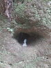 猿島「初　猿島上陸」