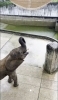 「#32.☔雨の日の水遊び🐘」