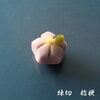 「上生菓子　練切　菓銘「桔梗」」