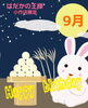 🎁2025年月誕生日の方限定クーポン🎁「✨👑はだかの王様小作店限定👑9月お誕生日割引クーポン🎁✨」