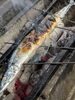 「【魚も酒も自ら厳選する瑞江の小料理屋】」