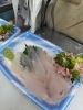 「魚は潮が速くて少なめですが今日もカワハギ入ってます✨✨」