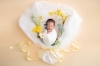 「花束に包まれて…ニューボーンフォトで“はじまり”の瞬間をお祝いします💐」