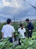 原田ファーム「NO119 第29回収穫祭大成功　初　夕方開催」