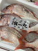「鮮魚入荷してます」
