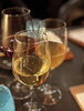 ワイン「南半球ワインで乾杯！松山二番町サリエの【8月グラスワインフェア】」